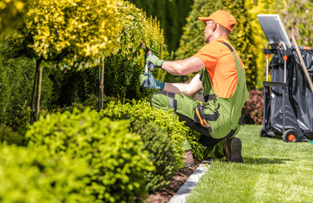 Navigating Workers' Compensation for Landscapers and Gardeners - Stern & Cohen Header Image - Person landscaping and gardening - Workmen's Comp Attorney
